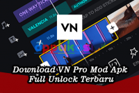 Download VN Mod Apk Pro