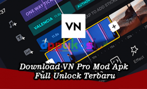 Download VN Mod Apk Pro