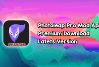 Photoleap Mod Apk Premium